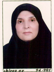 Razie Sheikholeslami
