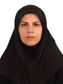 mahdieh mirzabeigi